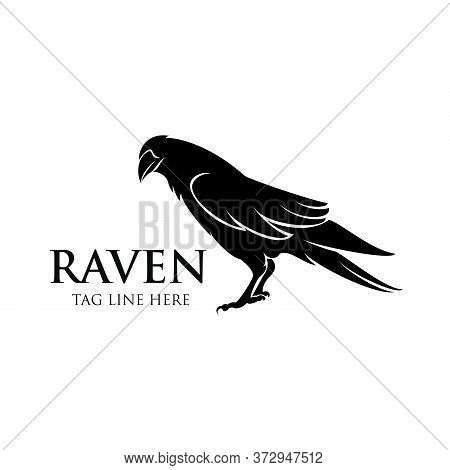 Raven Logo Icon Vector Design Icon Template