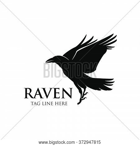 Raven Fly Logo Icon Vector Design Silhouette