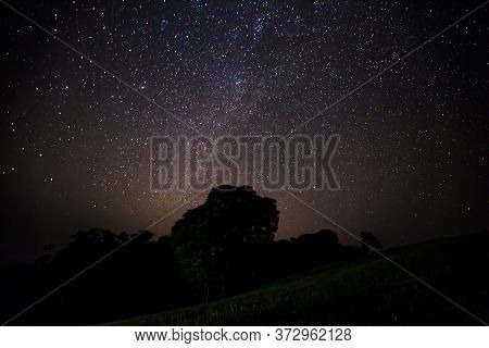Milky Way At Nigh Sky Above Big Tree On Hill Of Mountain Location At Doi Samer Dao Nation Park , Nan