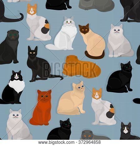 Seamless Vector Pattern With Different Cats On A Blue Background