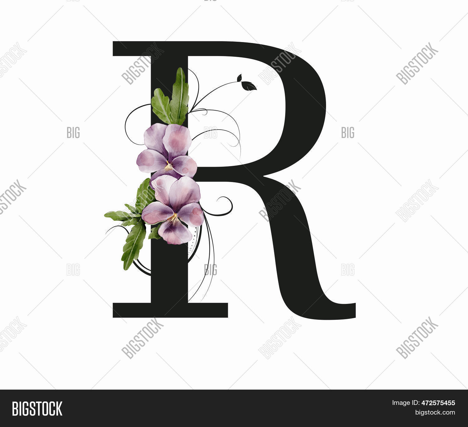 Capital Letter R Image & Photo (Free Trial) | Bigstock