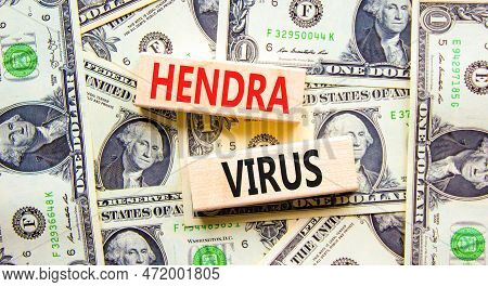 Hendra Virus Symbol. Concept Words Hendra Virus On Wooden Block. Beautiful Background From Dollar Bi