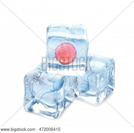Cryopreservation Of Genetic Material. Ovum And Sperm Cells In Ice Cubes On White Background