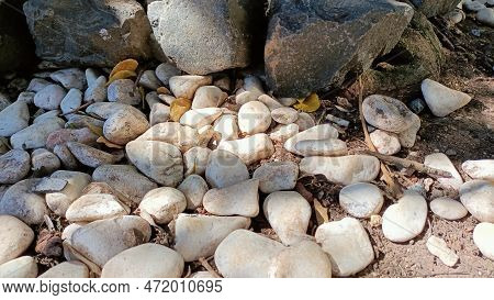 White Stones Lie Under The Tree And Dry Leaves Of The Tree Lie Among Them.