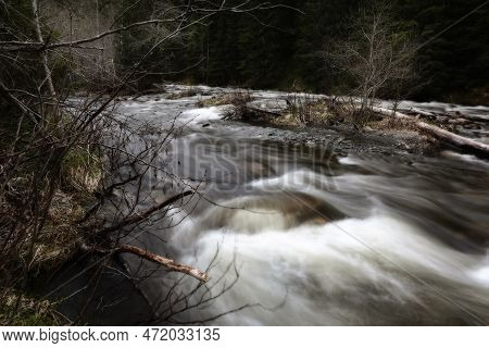 Spring Flood In The Forest