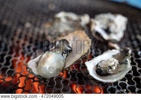 Grilled Fresh Oyster In Taiwan, Famous Street Food.