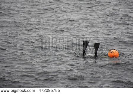 Haenyeo Female Divers Or Haenyo Women Diving Scuba For Keeping Clam Abalone Shells In Underwater In