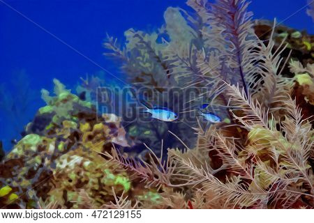 Digitally Created Watercolor Painting Of A Pair Of Blue Chromis Damelfish Chromis Cyanea Swimming Ov