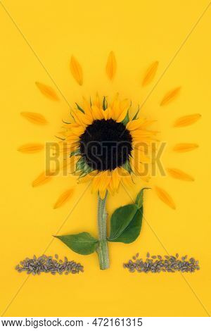 Sunflower Floral Abstract With Healthy Seeds On Sunny Yellow Background. Vegan Health Food For Healt
