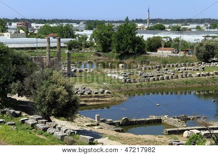 Ruines du Temple