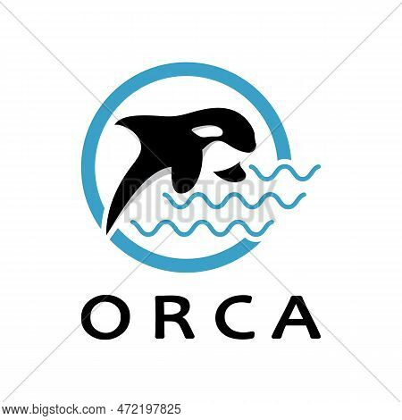 Simple Black Orca Whale Animal Illustration Logo Creative Design, Killer Whale, Underwater Animal. L