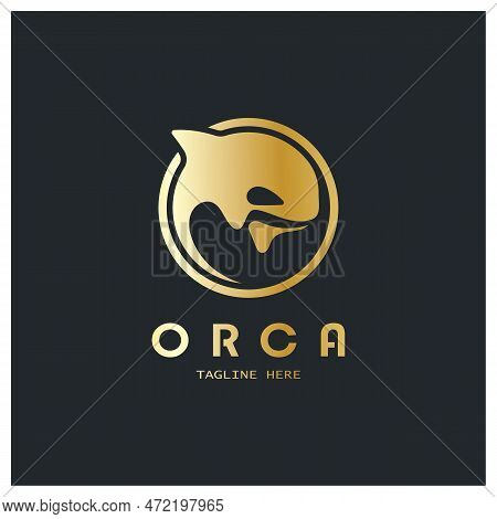 Simple Black Orca Whale Animal Illustration Logo Creative Design, Killer Whale, Underwater Animal. L