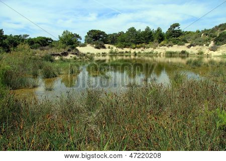 Lake And Sand