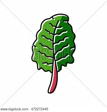 Chard Salad Food Color Icon Vector. Chard Salad Food Sign. Isolated Symbol Illustration