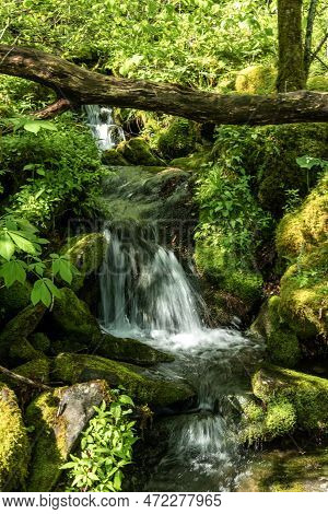 Waterfall In The Creek Along The Hike To Brushy Mountain In The Smokies