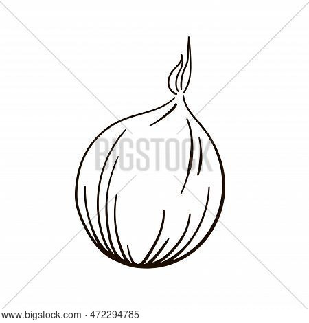 Onion Linear Icon. Vector Icon Of Onion Line Art Style.
