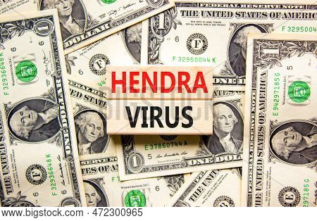 Hendra Virus Symbol. Concept Words Hendra Virus On Wooden Block. Beautiful Background From Dollar Bi