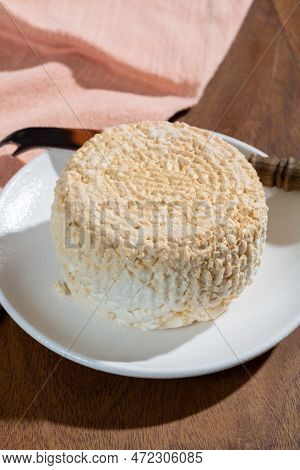 Polish Skimmed Fresh Smoked Milk Twarog Cheese, White Cow Cheese Compared To Curd, Quark, Or Cottage