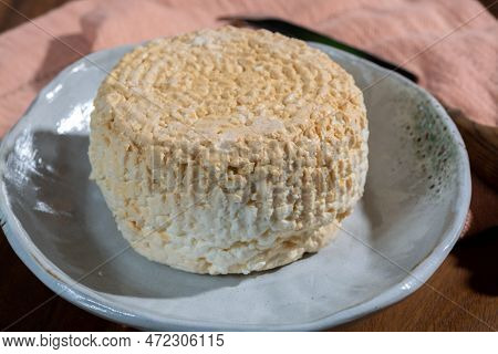 Polish Skimmed Fresh Smoked Milk Twarog Cheese, White Cow Cheese Compared To Curd, Quark, Or Cottage