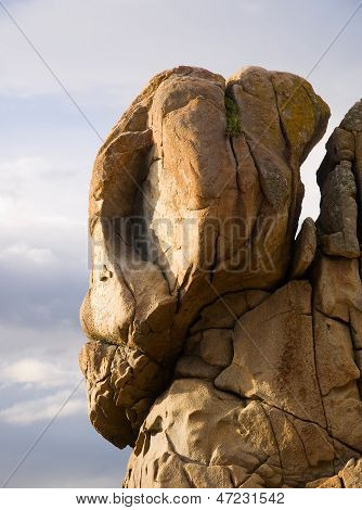 Rock With Head Shape