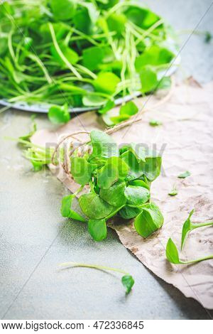 Winter Purslane - Indian Lettuce, Healthy Green Vegetables For Raw Salads And Cooking. Claytonia Per