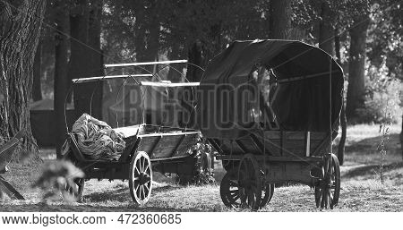 Russian Soviet World War Ii Peasant Carts In Forest. Wwii Equipment Of Red Army. Historical Re-enact