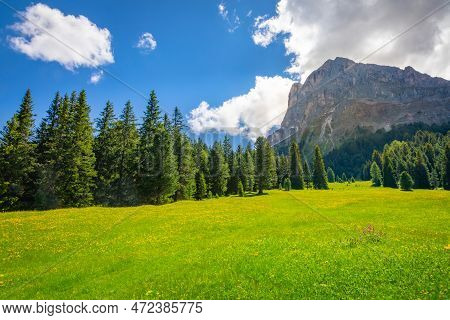 Idyllic Landscape With Wildflowers In Italian Dolomites Alps At Sunny Springtime, Northern Italy