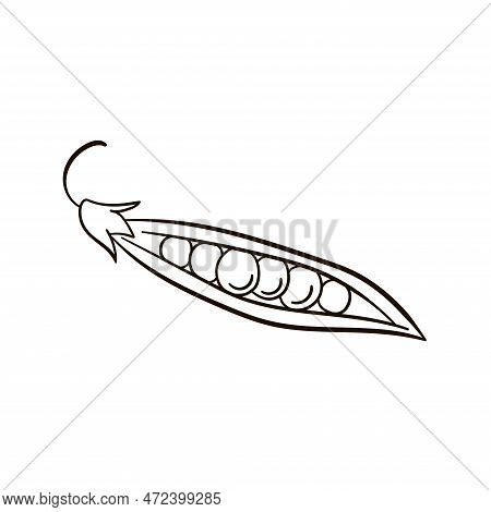 Peas In Line Art Style. Vector Illustration Of Peas Icon Isolated On White Background.