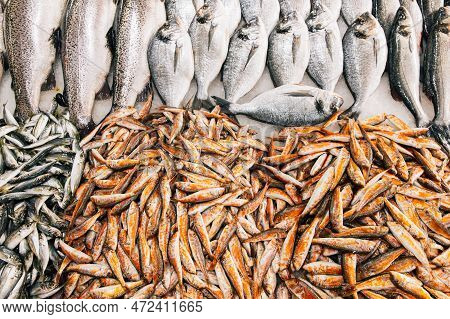 Fresh Sea Salmon, European Anchovy Fish And Mullus On Display On Ice On Market Store Shop. Seafood F