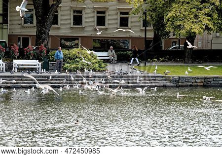 Breiavatnet - Central Park And Lake With Fountain In Stavanger Municipality In Rogaland County, Norw