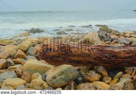 A Large Piece Of Driftwood Lies On The Beach. Large, Water-worn Stones Lay On A Rocky, Rugged Shorel