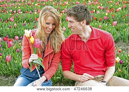 Lykkelige par i tulipfields fra Nederlandene