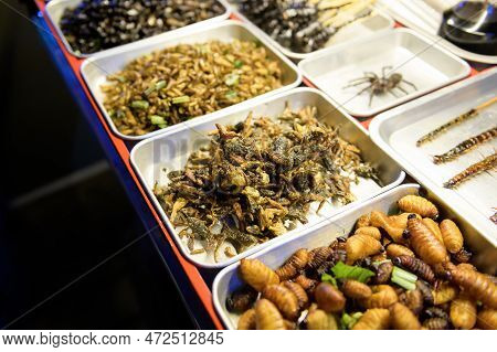 Exotic Food In Khao San Road At Night In Bangkok City, Thailand, Holidays And Traveling Concept