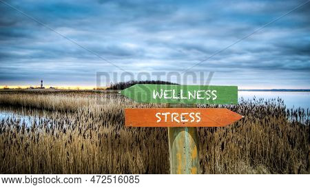 Street Sign The Direction Way To Wellness Versus Stress