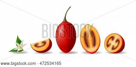 Tamarillo Flower And Fruit. Isolated Realistic Tamarillos Whole Half Slices Elements, Tree Tomato Fr