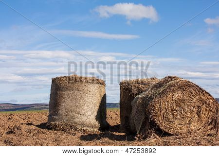 Grass Roll