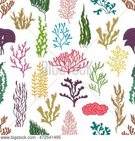Underwater Seaweed Plants Seamless Pattern. Sea And Ocean Coral Reef Life Vector Background. Marine 