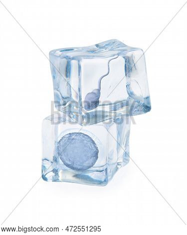Cryopreservation Of Genetic Material. Ovum And Sperm Cells In Ice Cubes On White Background