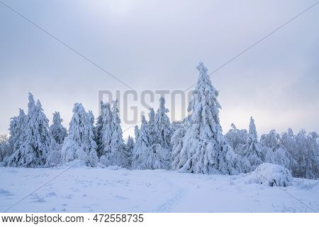 Panoramic Landscape Image Of Kahler Asten During Wintertime, Sauerland, Germany