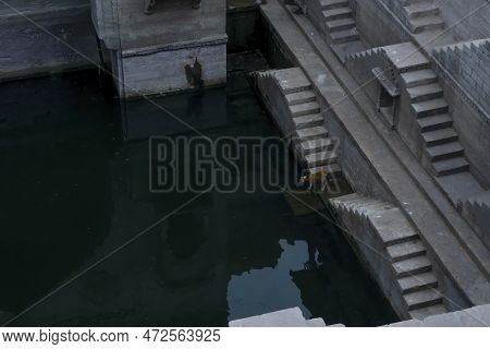 Toorji\'s Step Well, Toorji Ki Jhalara, Toorj Ki Jhalra, Was Built In 1740s.hand Carved Step Well Bu