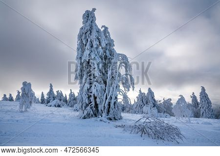 Panoramic Landscape Image Of Kahler Asten During Wintertime, Sauerland, Germany