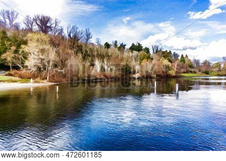 Trres Along Lake Washington In Seattle. It Is Early Spring.