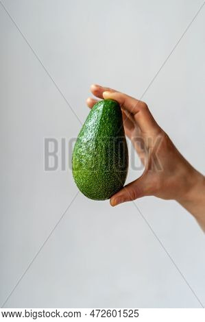 Human Hand Holding Green Ripe Organic Avocado Against Grey Wall. Healthy Vegetarian Food. Nutrient-d