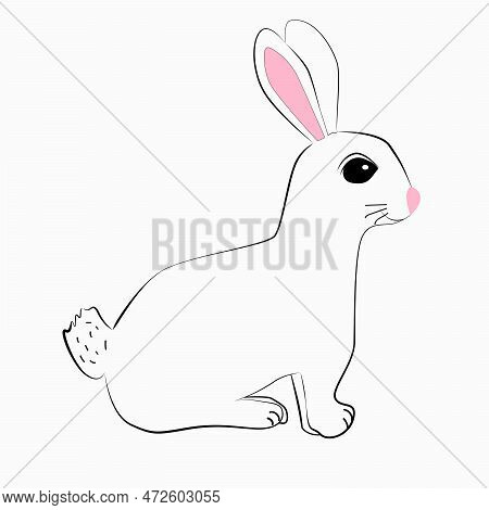 Cartoon Rabbit Isolated Icon On White Background