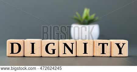 Dignity - Word On Wooden Cubes On A Gray Background With A Cactus. Info Concept