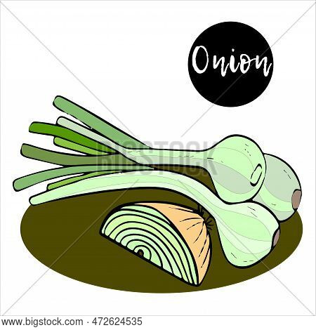 Bunch Of Young Green Onions With Leaves And Half An Onion. Fresh Green Onion. Vitamins. Microgreens.