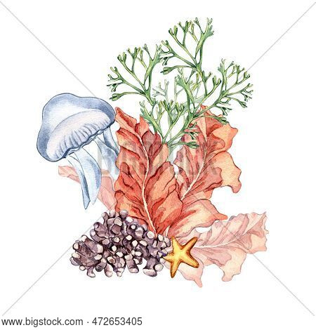 Composition Of Colorful Sea Plants Watercolor Illustration Isolated On White.