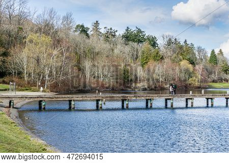 Trres Along Lake Washington In Seattle. It Is Early Spring.