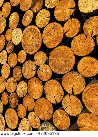Wall Of Beautiful Yellow Firewood Pine Background