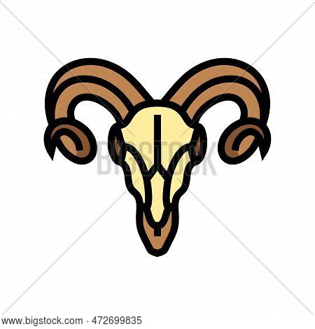 Skull Ram Horn Animal Color Icon Vector. Skull Ram Horn Animal Sign. Isolated Symbol Illustration